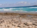Nine Mile Beach