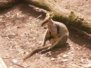 Gorge Wildlife Park