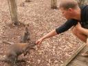 Gorge Wildlife Park