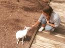 Gorge Wildlife Park