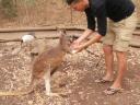 Gorge Wildlife Park