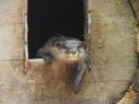 Gorge Wildlife Park