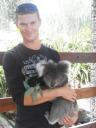 Gorge Wildlife Park - koala's
