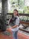 Gorge Wildlife Park - koala's