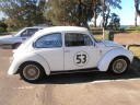 Herbie