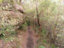 Blue Mountains - Undercliff Walk