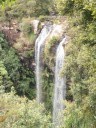 Wandelen in Springbrook