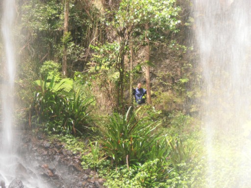 Twin Falls