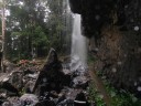 Wandelen in Springbrook