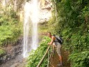 Springbrook - Purling Brook Falls