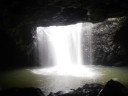 Natural Bridge in Numinbah Valley
