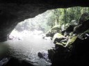 Natural Bridge in Numinbah Valley