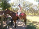Horse riding in the bush