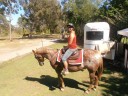 Horse riding in the bush