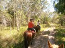 Horse riding in the bush