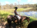 Horse riding in the bush