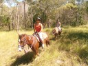 Horse riding in the bush