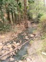 Mickey Creek Gorge