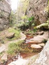 Carnarvon NP - Wards Canyon