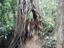 Eungella NP