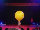 Great Moscow Circus