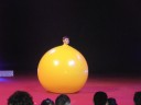 Great Moscow Circus