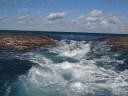 The Great Barrier Reef