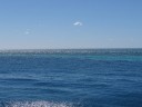 The Great Barrier Reef