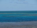 The Great Barrier Reef