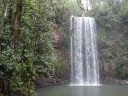 De Millaa Millaa Fals