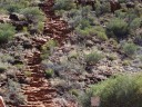 Kings Canyon