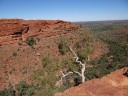 Kings Canyon