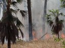 Litchfield NP - brand!!!
