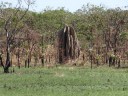 Litchfield NP