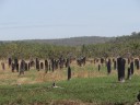 Litchfield NP