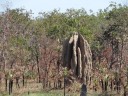 Litchfield NP