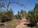 Litchfield NP