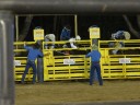 Rodeo
