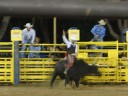 Rodeo