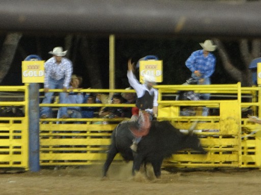 Rodeo