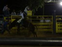 Rodeo