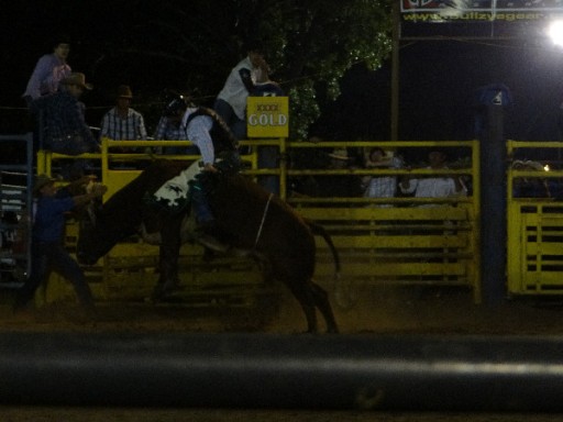 Rodeo