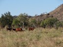 Gibb River Road