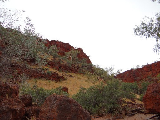 Karijini NP