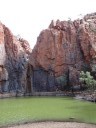 Phyton Pool