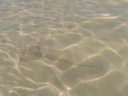 Coral Bay