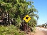 Interessant verkeersbord!