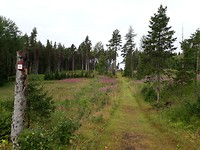 20190809_095201