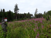 20190809_095102