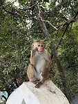 IMG_6767